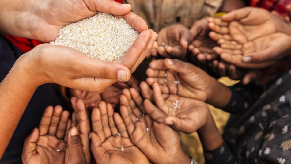 ۸۲۰ میلیون گرسنه‌ در دنیا/ چگونه گرسنگی را ریشه‌کن کنیم؟