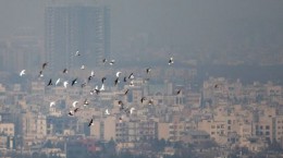 آلودگی هوا در تهران کاهش یافت