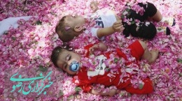 آئین سنتی گل غلتان و گلابگیری در روستای فرخد مشهد