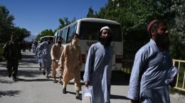 آزادی 900 زندانی طالبان  <img src="/images/picture_icon.gif" width="16" height="13" border="0" align="top">