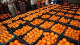 توزیع 40 تن میوه جهت تنظیم بازار شب عید در میناب